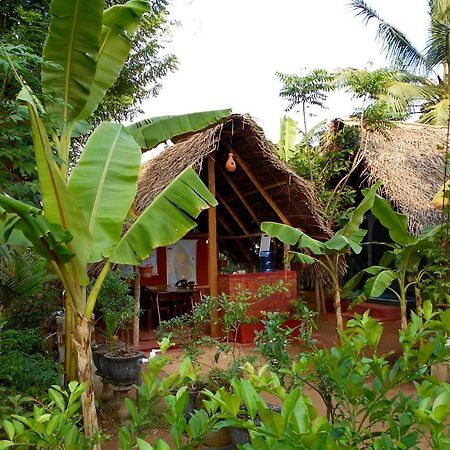 Homestay Camping Анурадхапура Екстериор снимка