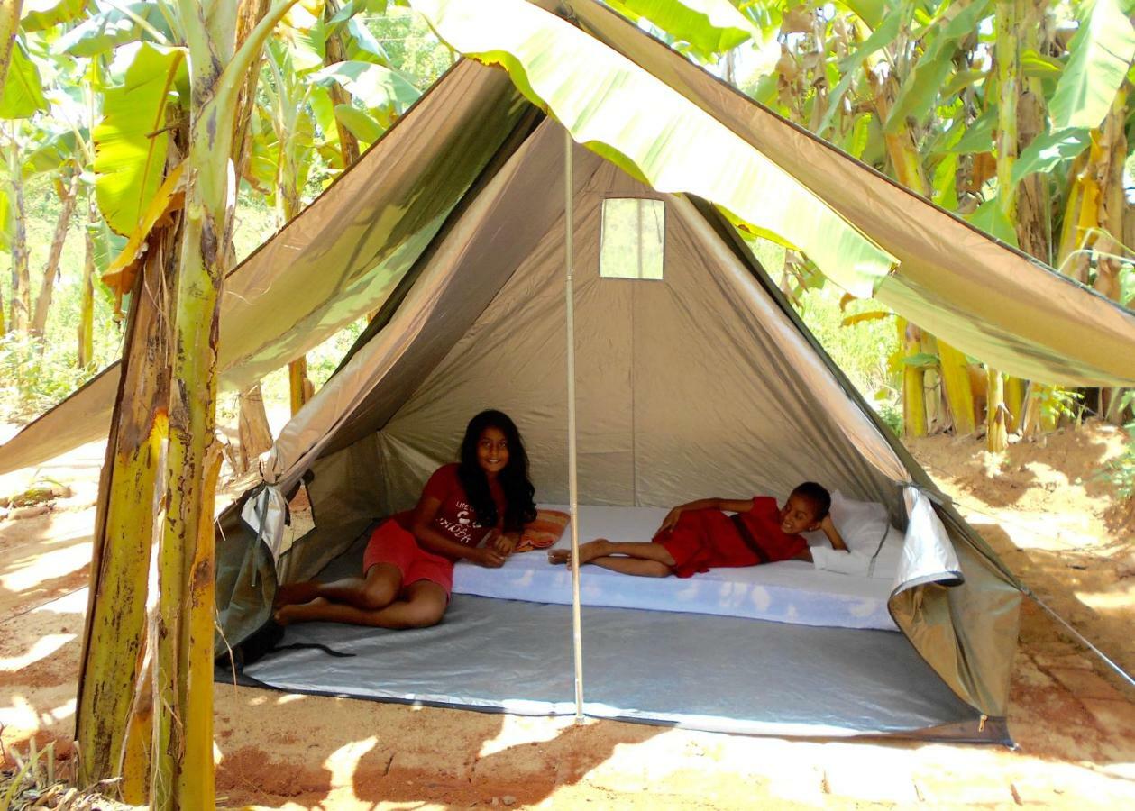 Homestay Camping Анурадхапура Екстериор снимка